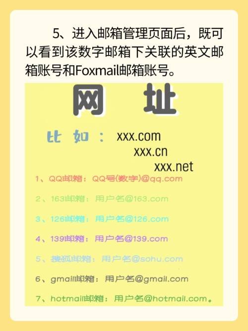 电子邮箱号是什么？