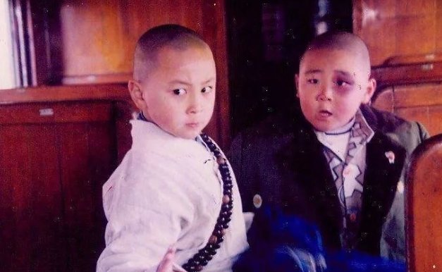 释小龙和郝邵文有合作过哪些作品吗