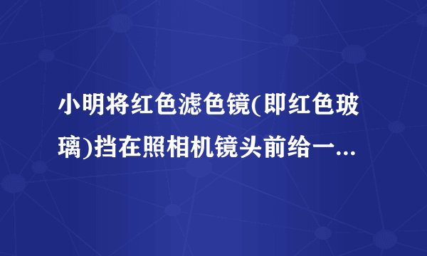 小明将红色滤色镜(即红色玻璃)挡在照相机镜头前给一株黄色的月季花拍照，照片上该花的颜色是        &nb.