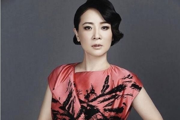 陈小艺主演的电视剧有哪些