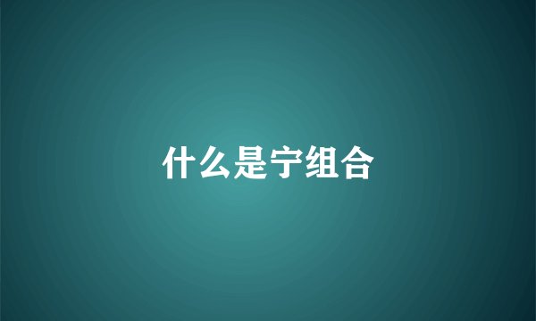 什么是宁组合