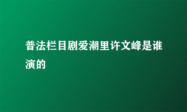 普法栏目剧爱潮里许文峰是谁演的