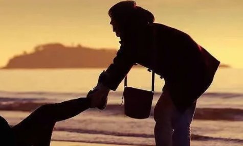 宋春丽演的所有电视剧