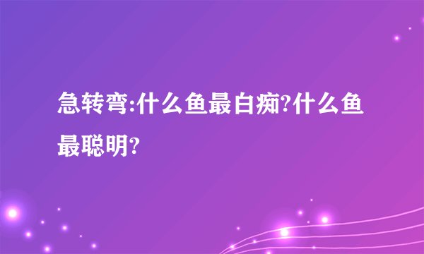 急转弯:什么鱼最白痴?什么鱼最聪明?