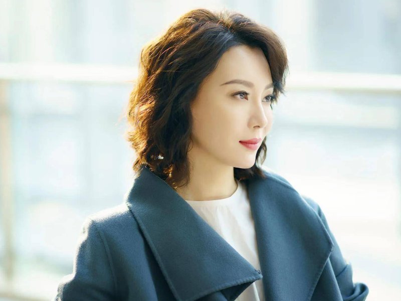 陈数主演的电视剧全部