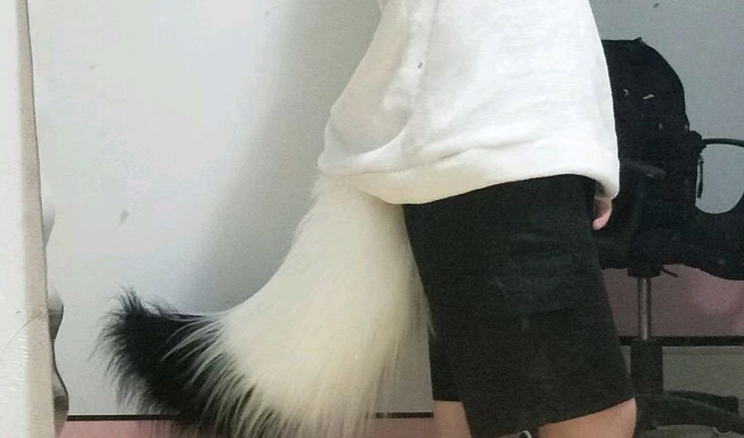 尾巴难藏是什么生肖