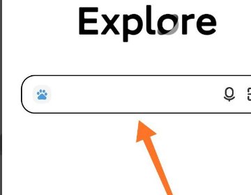 怎么复制链接在手机浏览器打开？