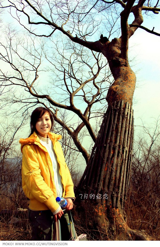 练冰月的个人简介