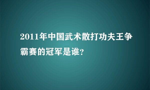 2011年中国武术散打功夫王争霸赛的冠军是谁？