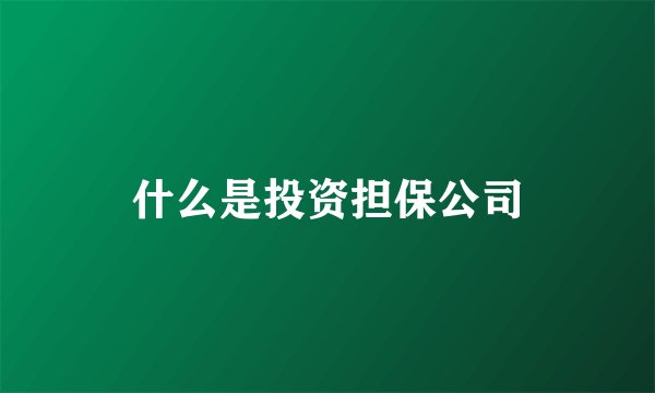 什么是投资担保公司