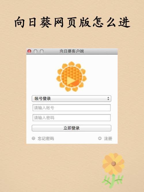 向日葵网页版怎么进