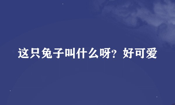 这只兔子叫什么呀？好可爱