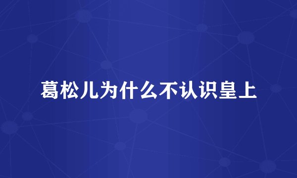 葛松儿为什么不认识皇上