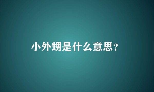 小外甥是什么意思？
