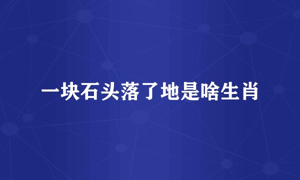 一块石头落了地是啥生肖