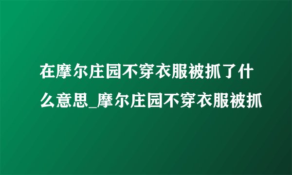 在摩尔庄园不穿衣服被抓了什么意思_摩尔庄园不穿衣服被抓