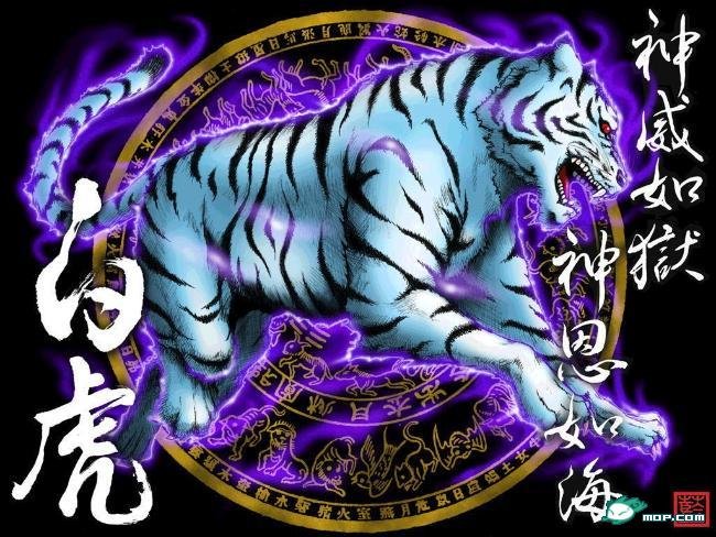 十二神兽美女的内容简介