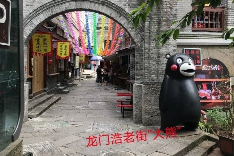 漂流的熊本熊还有一只没回家，为什么网友申请去下游寻找？