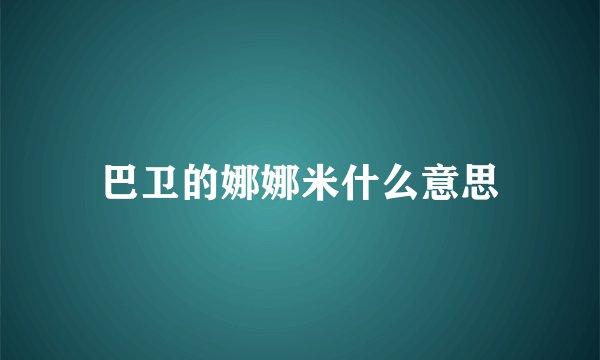 巴卫的娜娜米什么意思