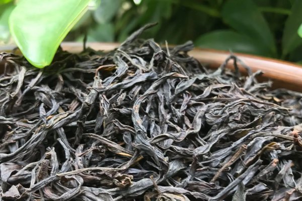 潮州凤凰单丛10大品牌