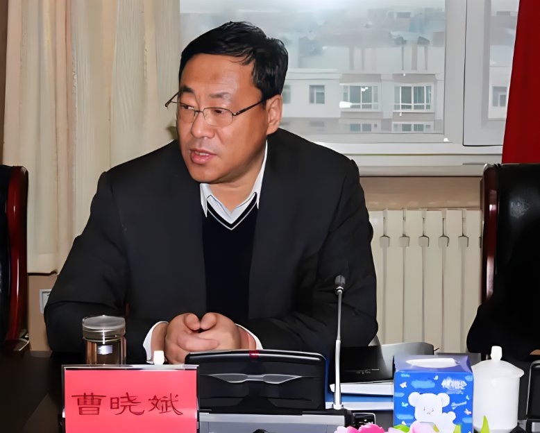 曹晓斌个人简历