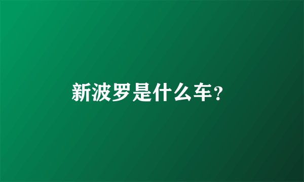 新波罗是什么车？