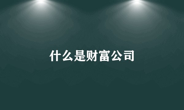 什么是财富公司