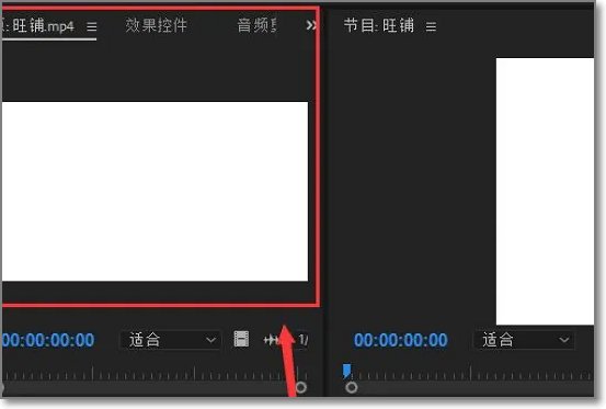 pr九尾狐正能量版软件怎么用？
