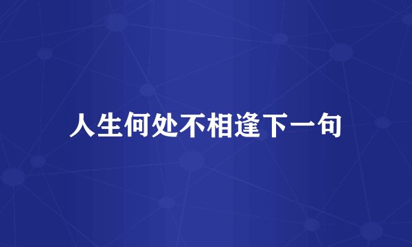 人生何处不相逢下一句