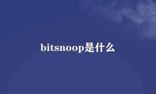 bitsnoop是什么