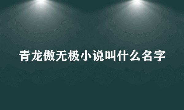 青龙傲无极小说叫什么名字