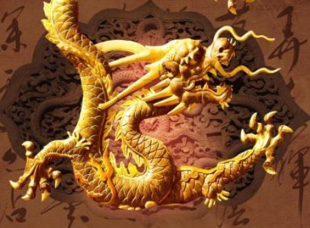 金龙的爪子有多少个爪子?