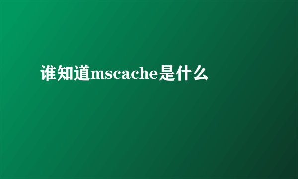 谁知道mscache是什么