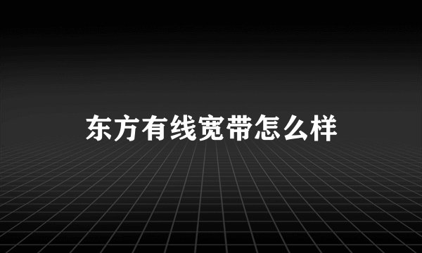 东方有线宽带怎么样