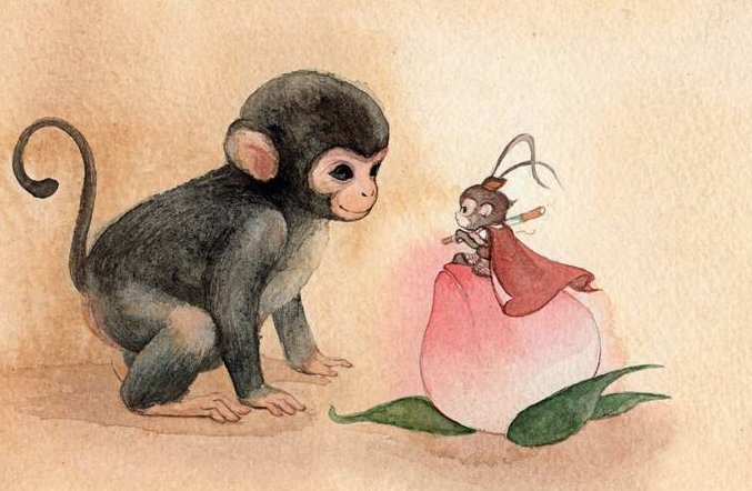 午后时光打一个生肖