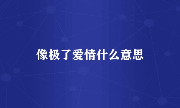 像极了爱情什么意思