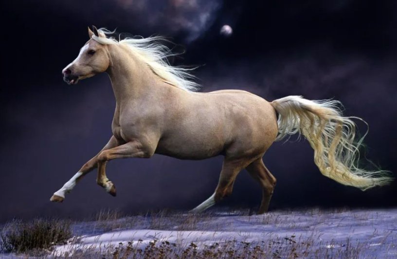 熟人熟事是什么生肖