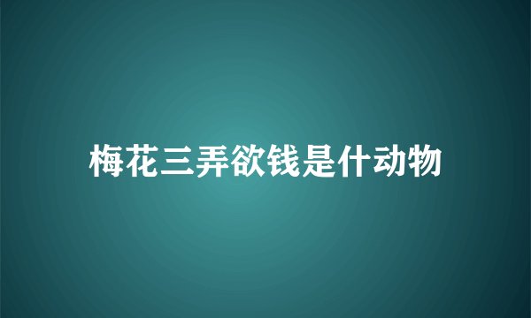 梅花三弄欲钱是什动物