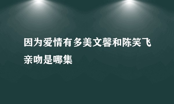 因为爱情有多美文馨和陈笑飞亲吻是哪集