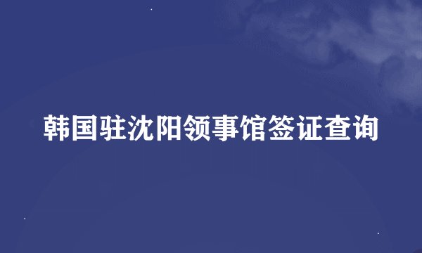韩国驻沈阳领事馆签证查询