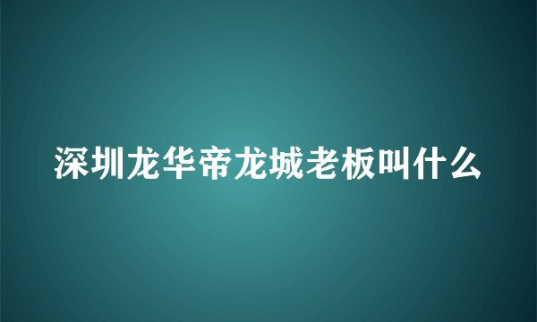 深圳龙华帝龙城老板叫什么