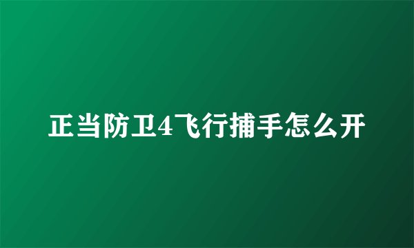正当防卫4飞行捕手怎么开
