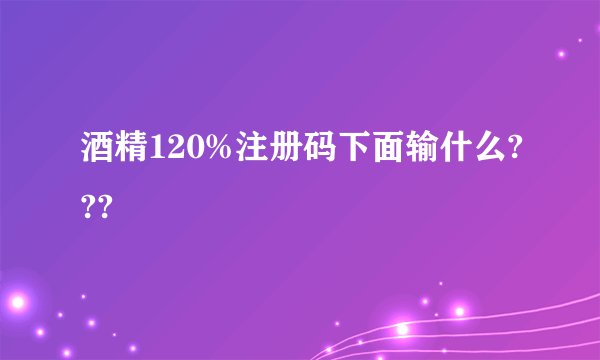 酒精120%注册码下面输什么???