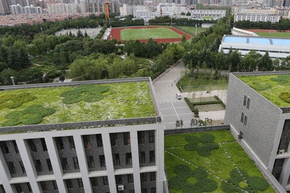 西安文理学院有专科吗