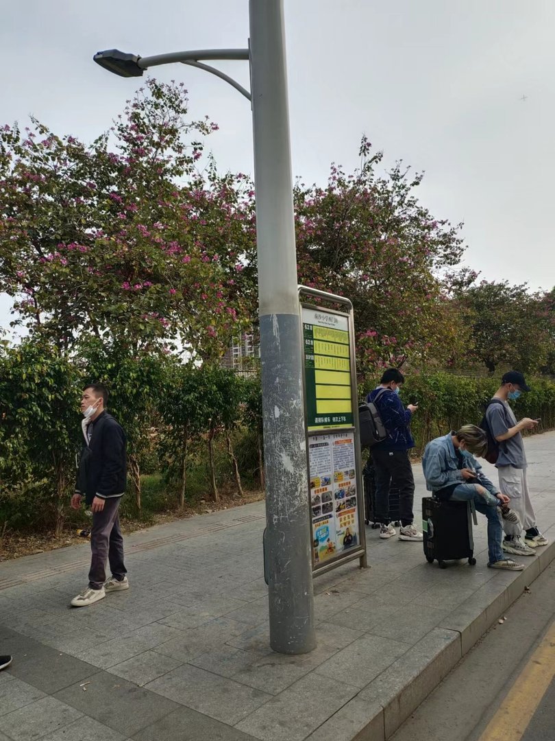 在深圳市福田区南园路228号怎么坐车去番禺市桥？