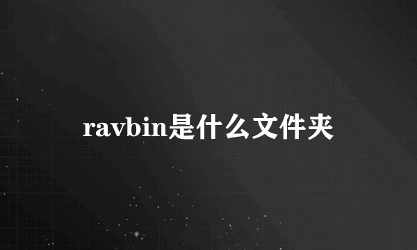 ravbin是什么文件夹