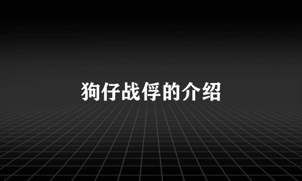 狗仔战俘的介绍
