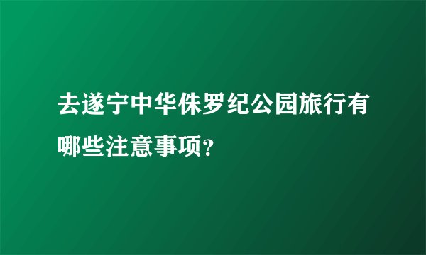 去遂宁中华侏罗纪公园旅行有哪些注意事项？