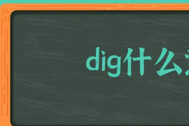 dig in什么意思