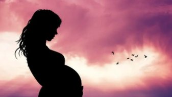 人大代表建议通过税收手段鼓励生育,你赞成此建议吗?